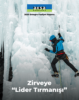 2025 Entegre Faaliyet Raporu
