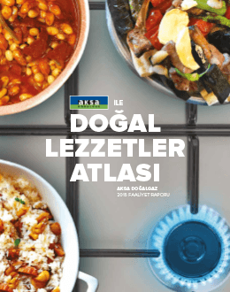 Aksa Doğalgaz Faaliyet Raporu