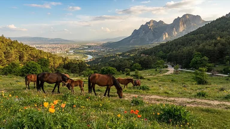 Manisa Travel Guide: The City of Ottoman Crown Princes