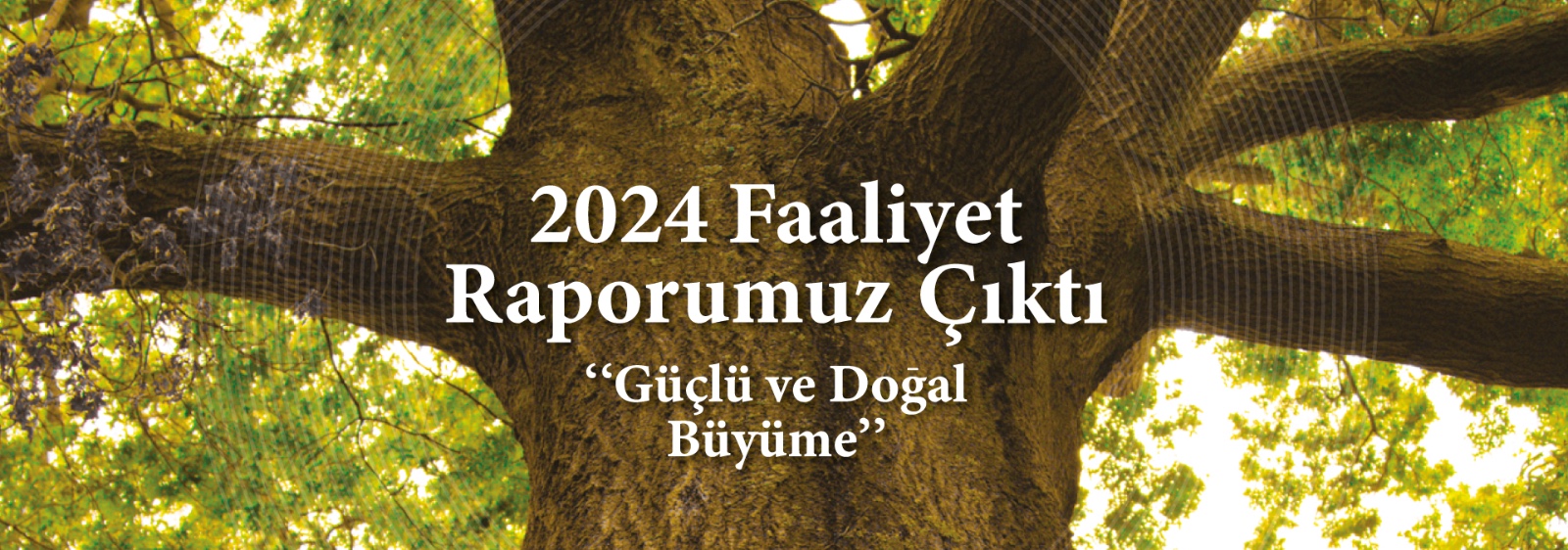 2024 faaliyet raporu=