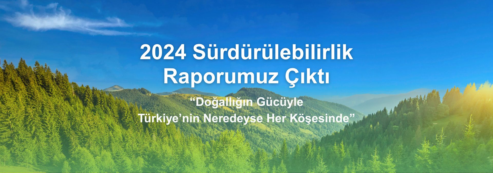 2024 sürdürülebilirlik raporu=