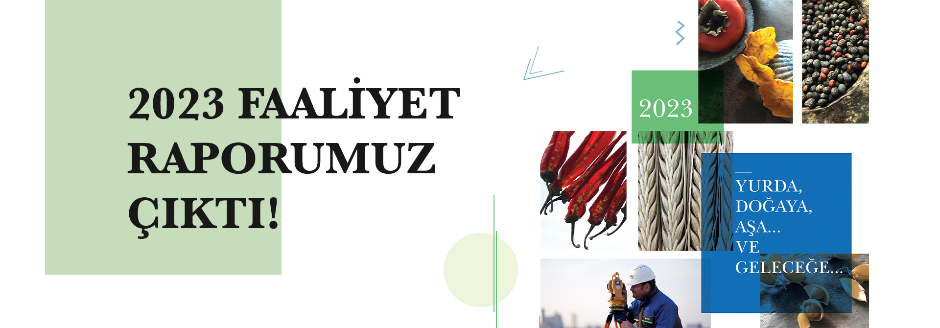 Faaliyet Raporları
