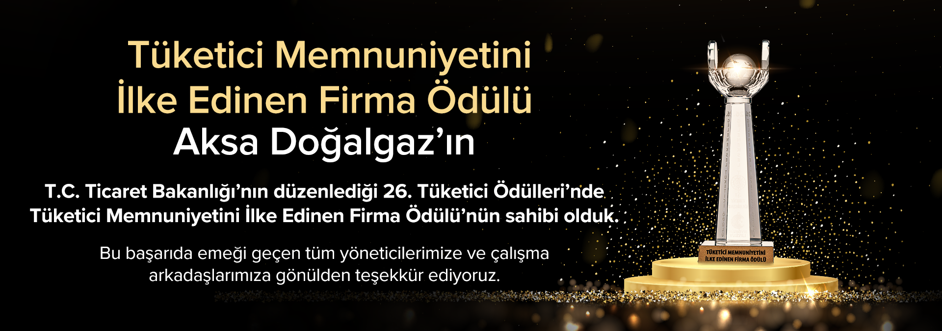 Tüketici Memnuniyetini İlke Edinen Firma Ödülü